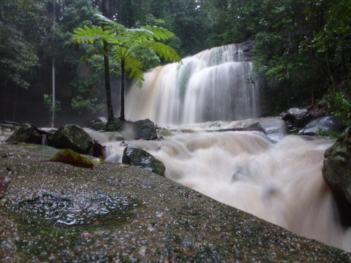 Buderim Forest Hideaway Esterno foto
