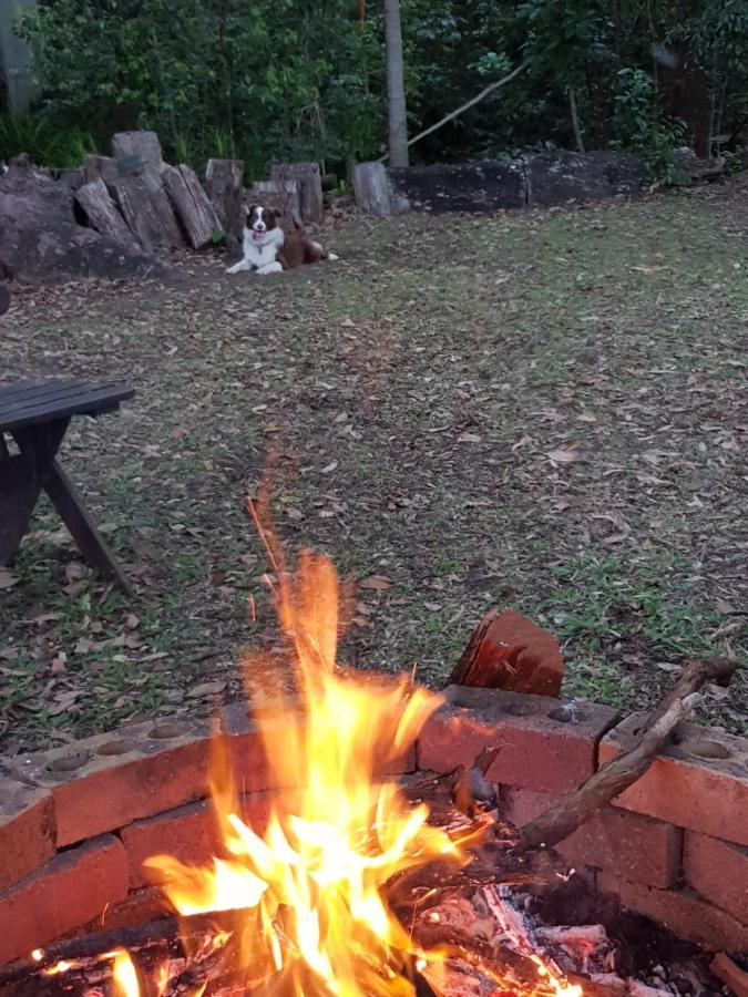 Buderim Forest Hideaway Esterno foto